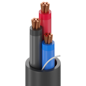 cable belden 28081A